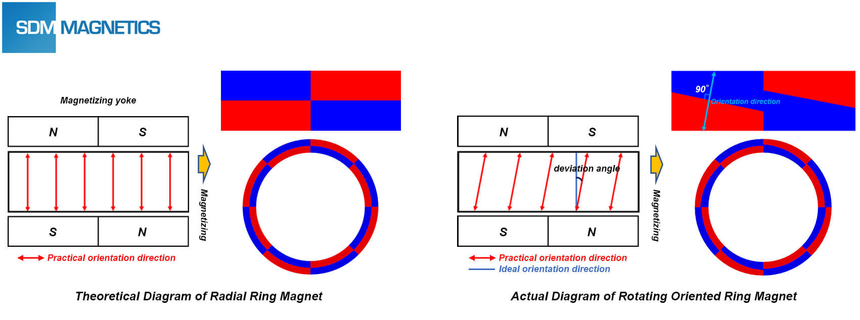 Radial ring magnet-3